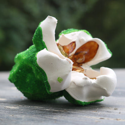 Madeleine Child - Popcorn - Multiple Colours