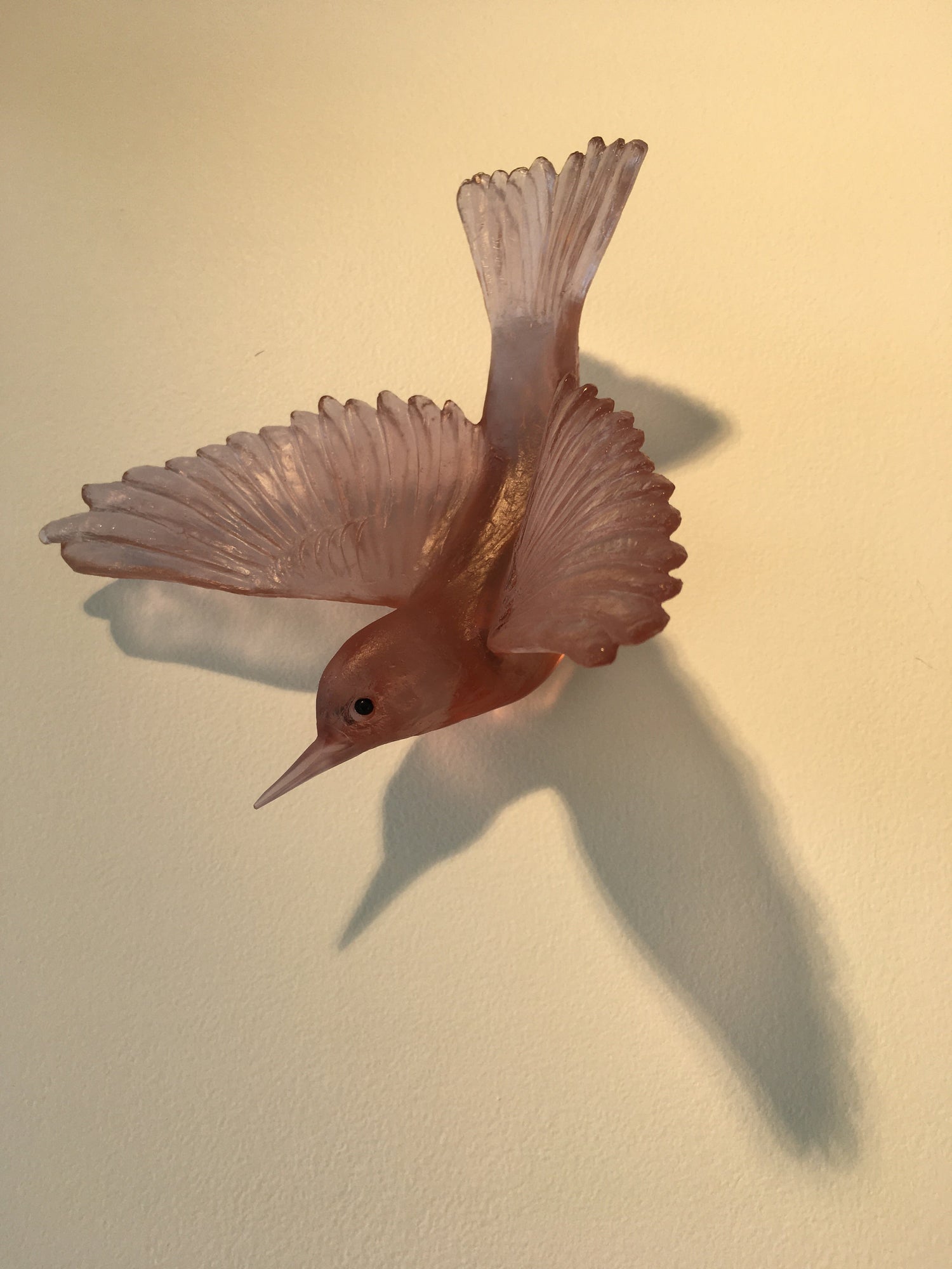 Lukeke Design - Silvereye (Assorted Colours)