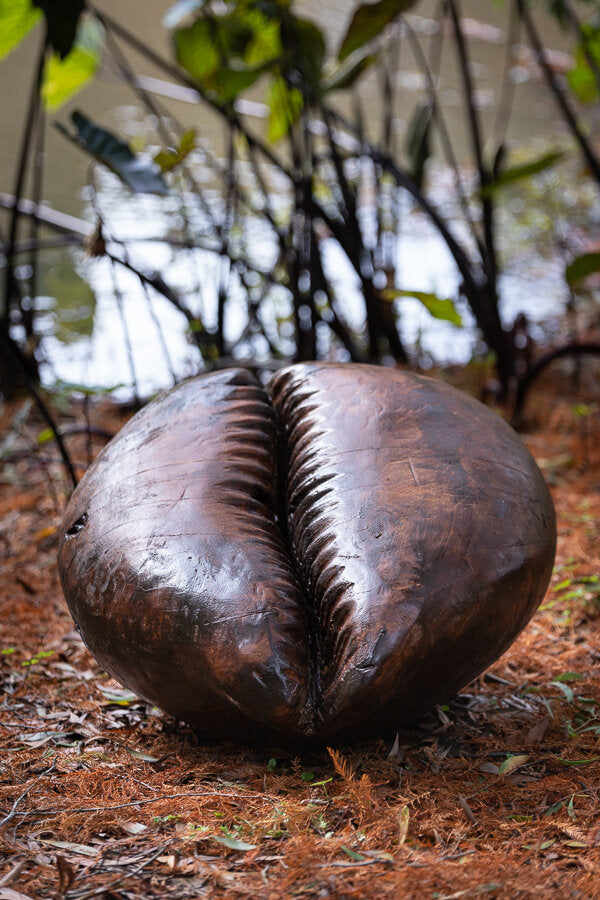 Malosi