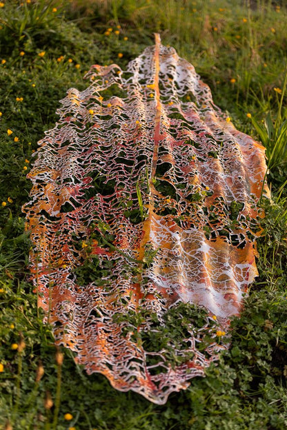 Mahoe Leaves
