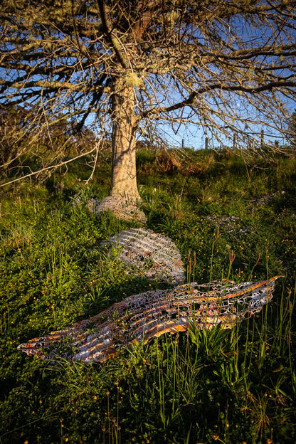 Mahoe Leaves