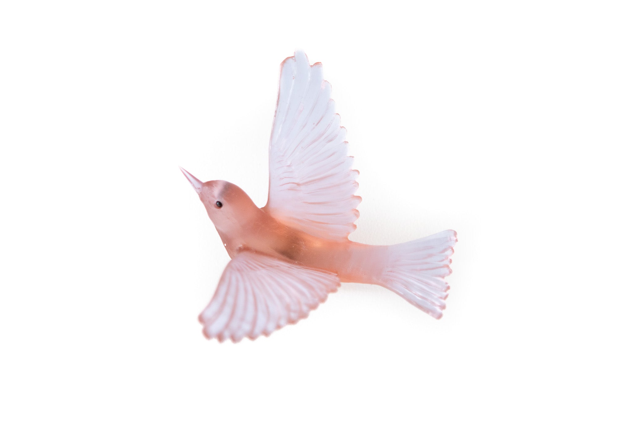 Lukeke Design - Silvereye (Assorted Colours)