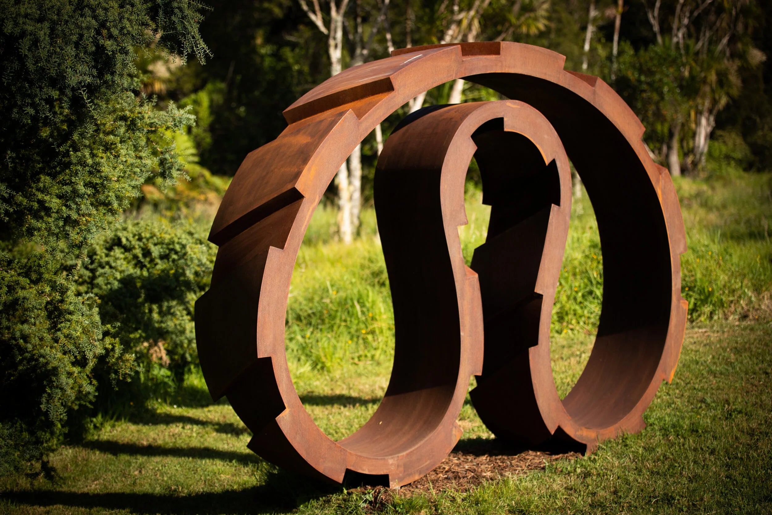 Involute and Transmission