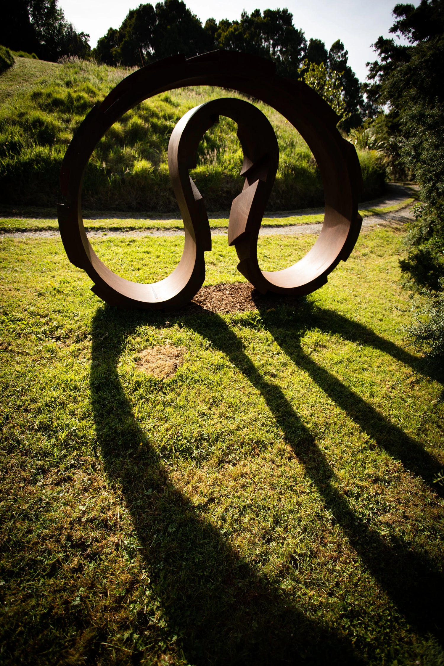 Involute and Transmission