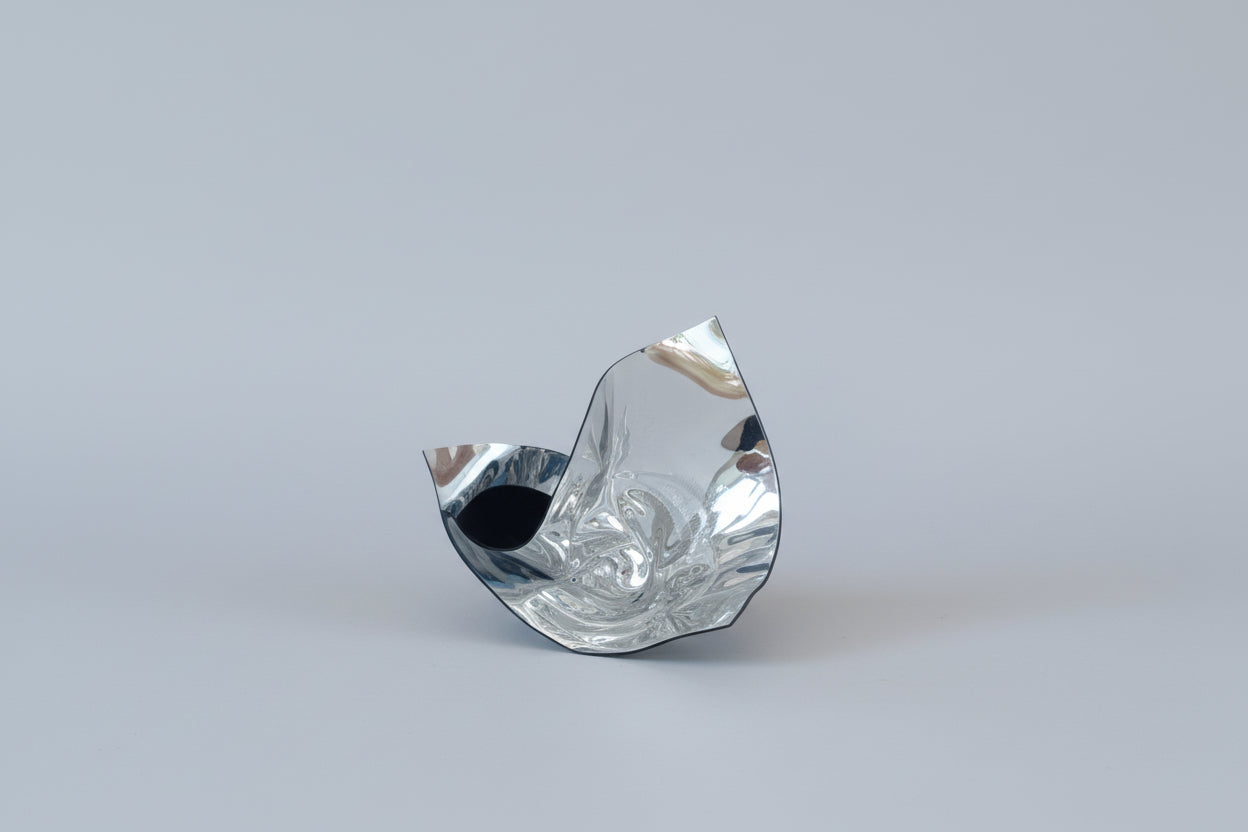 Judy Darragh, Mirror Blooms