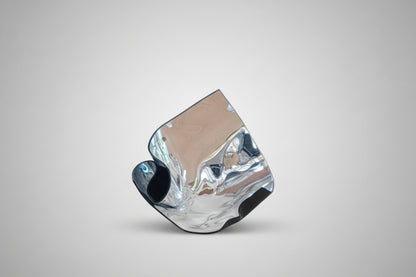 Judy Darragh, Mirror Blooms