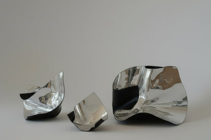 Judy Darragh, Mirror Blooms