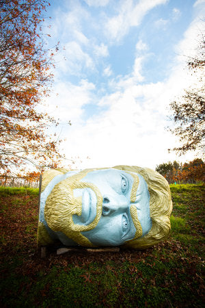 The Psychosis Chamber Of The Oracle