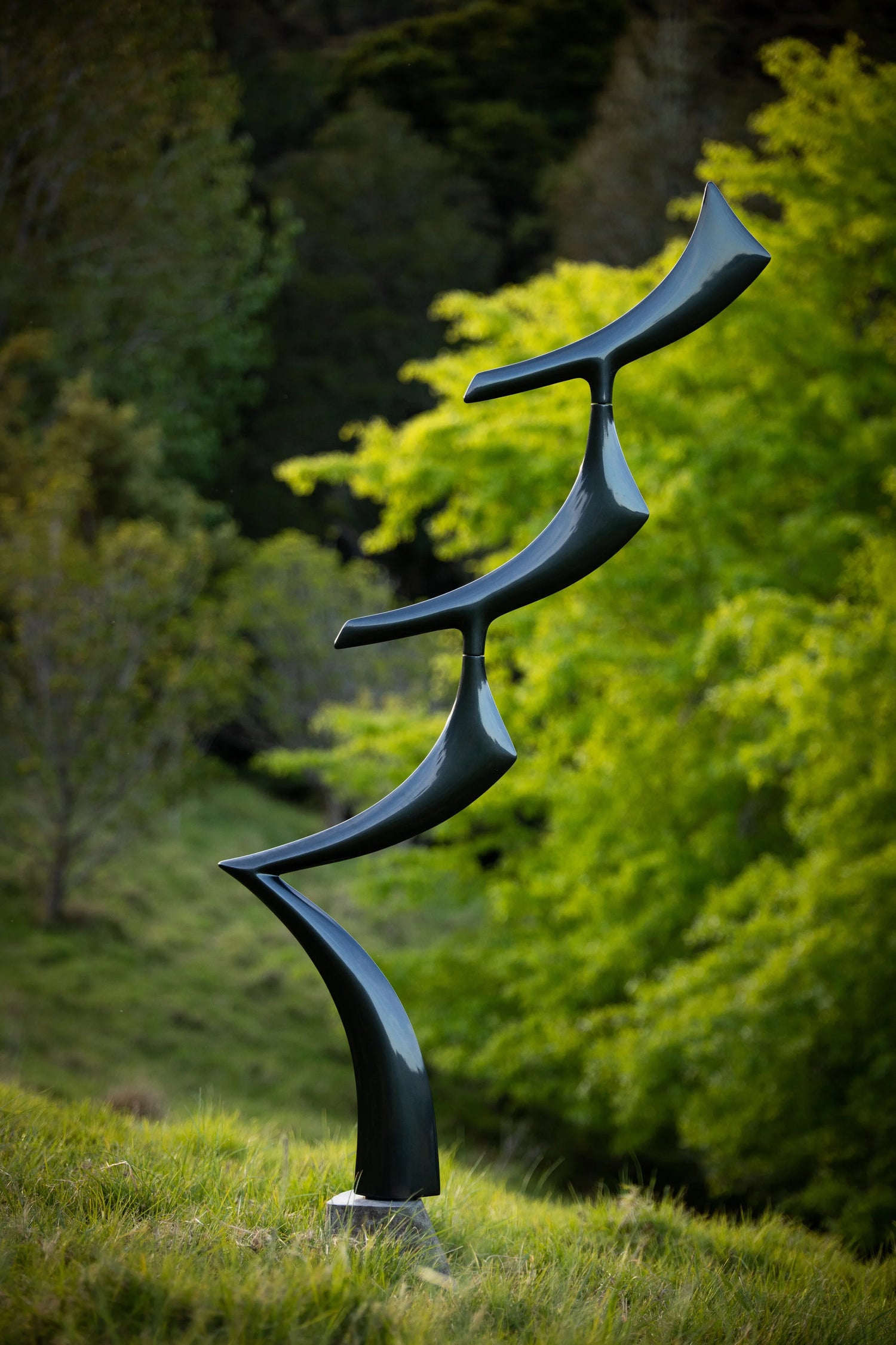 Pyxis