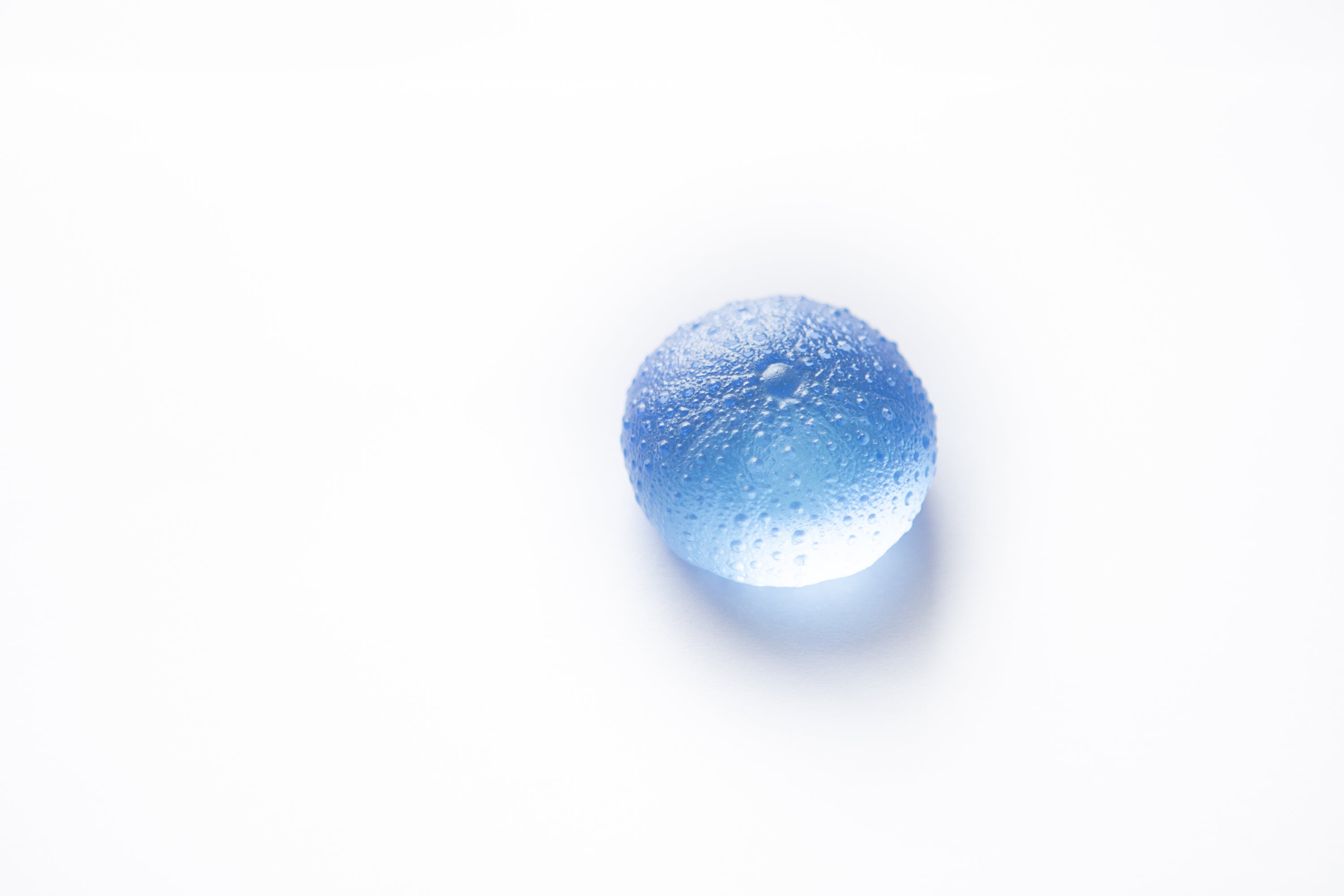 Rebecca Heap - Sea Urchins/ Kina Medium