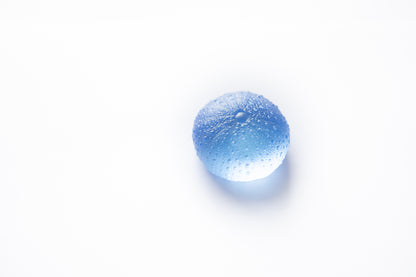 Rebecca Heap - Sea Urchins/ Kina Medium