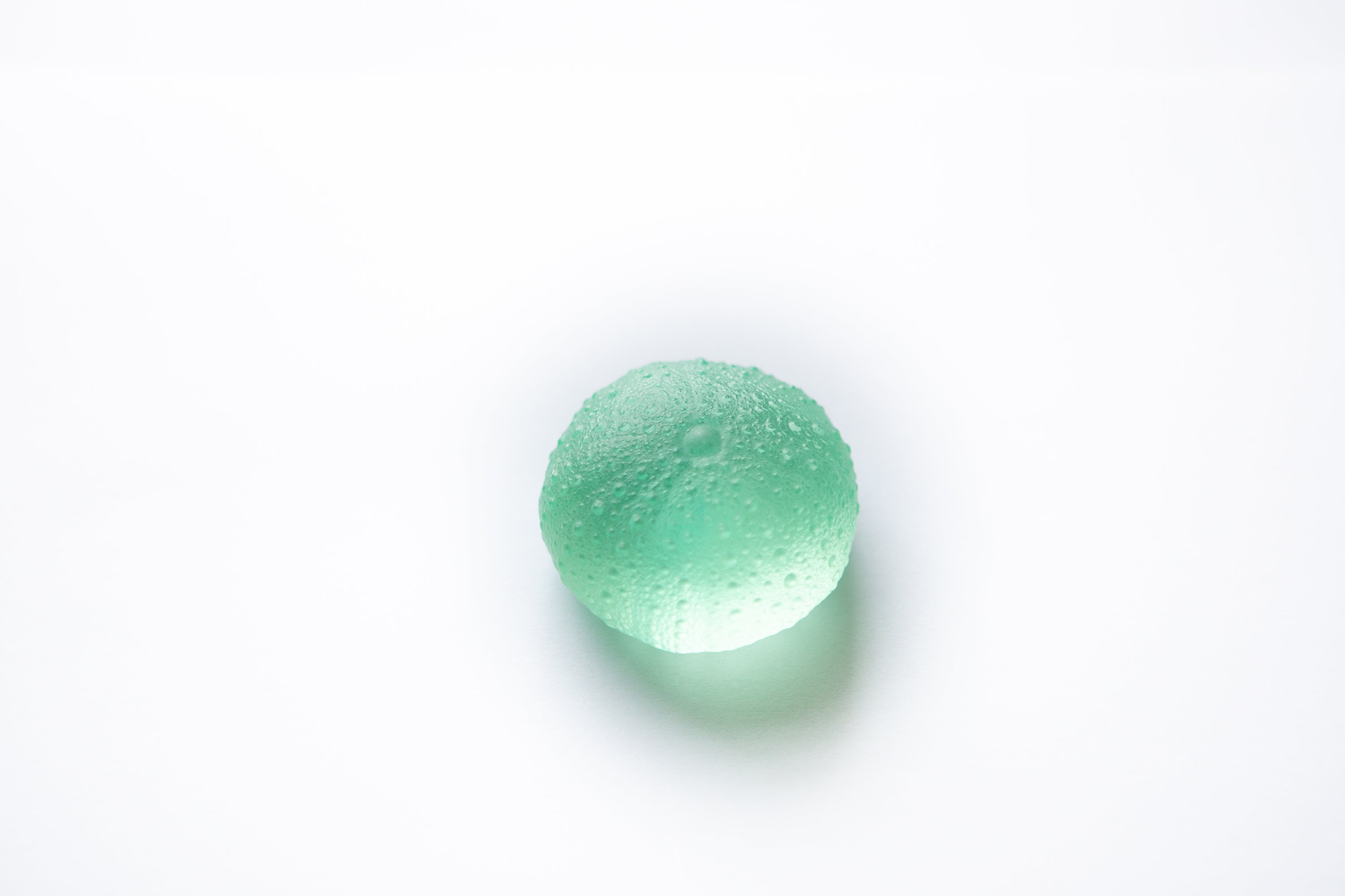 Rebecca Heap - Sea Urchins/ Kina Large