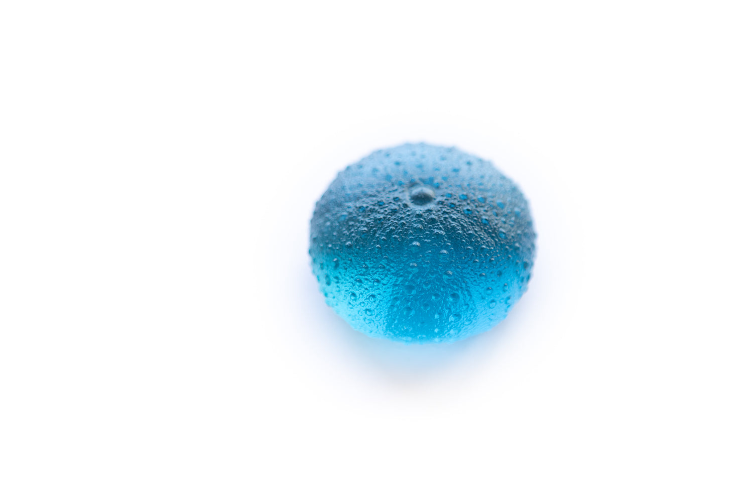 Rebecca Heap - Sea Urchins/ Kina Large