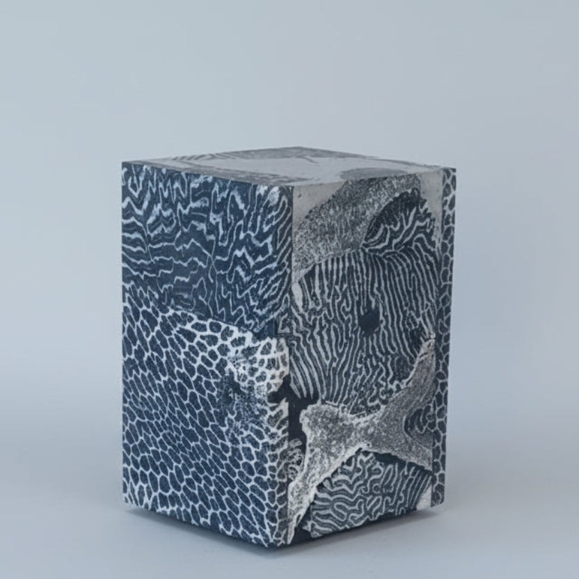 Chauncey Flay - Seawall 