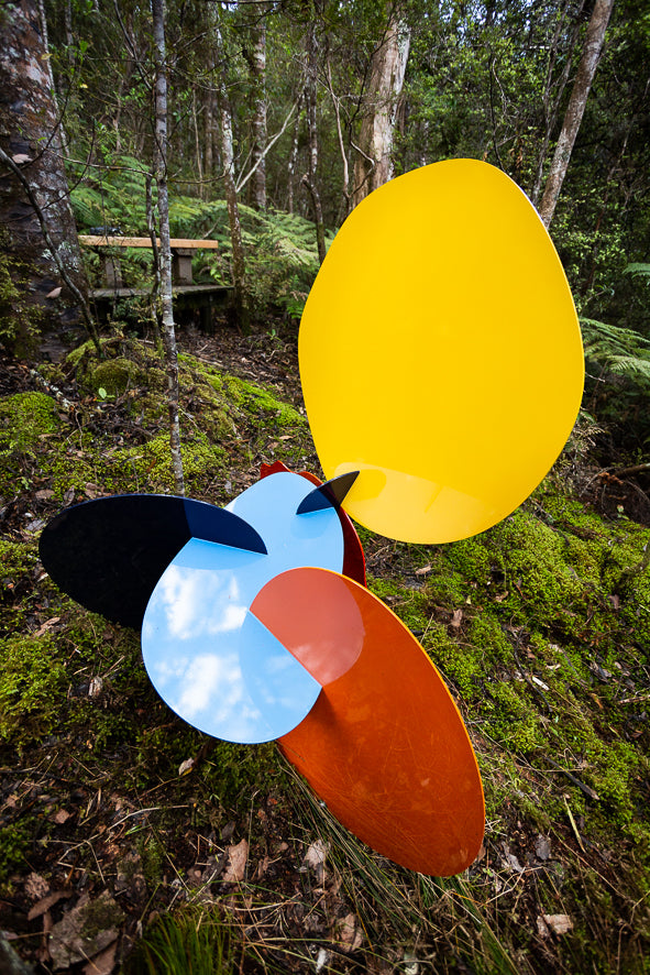 Consequence Sequence