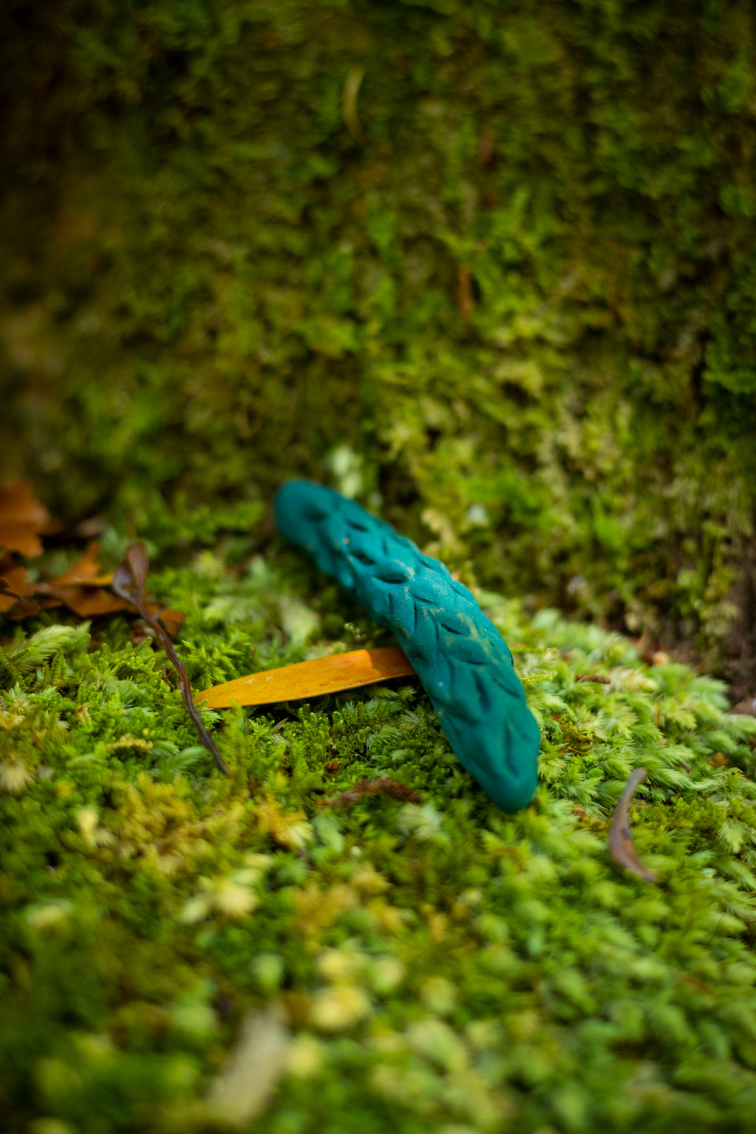 Natural Processes (Cy)