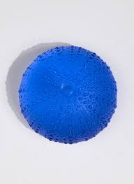 Rebecca Heap - Sea Urchins/ Kina Medium