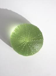 Rebecca Heap - Sea Urchins/ Kina Medium